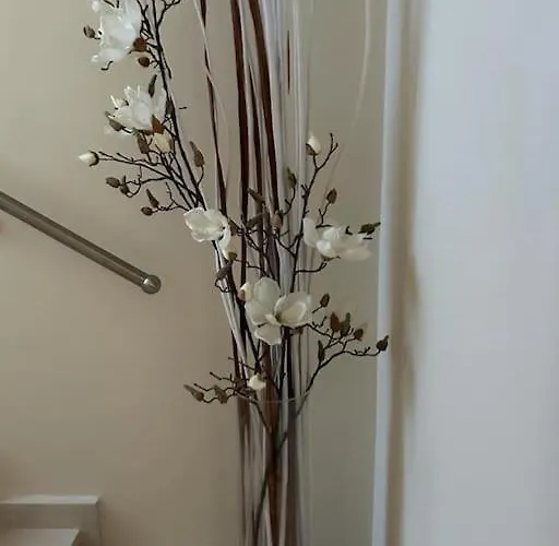 Simone * וירג'יו